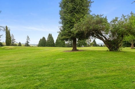 Photo of property in 14a Nikau Street, Springfield, Rotorua, 3015