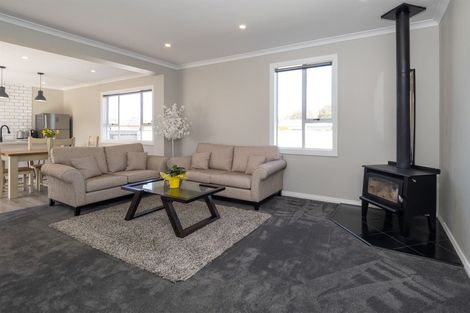 Photo of property in 12 Eton Street, Hampstead, Ashburton, 7700