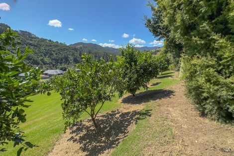 Photo of property in 78b Bennett Road, Te Mata, Thames, 3575