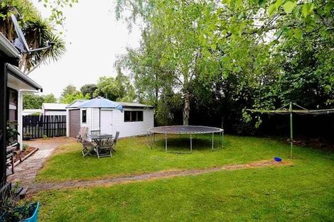 Photo of property in 17 Radiata Street, Fairview Downs, Hamilton, 3214