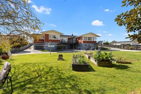 Photo of property in 502 Cambridge Road, Te Awamutu, 3800