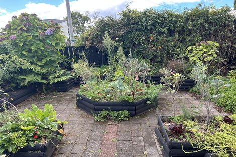 Photo of property in 1 Bay View Road, Raglan, 3225