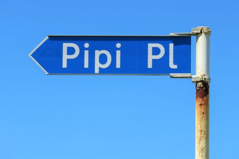 Photo of property in Pipi Place, Baylys Beach, 0377