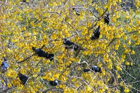 Photo of property in 22 Manson Street, Taumarunui, 3920