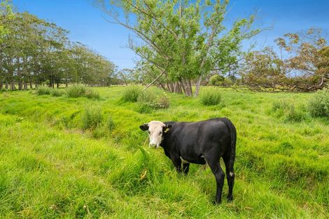 Photo of property in 233 Parkhurst Road, Parakai, 0830