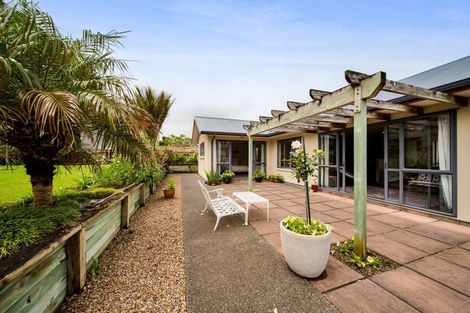 Photo of property in 45 Roto Street, Hurdon, New Plymouth, 4310