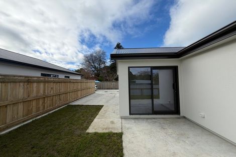 Photo of property in 19a Wellington Street, Feilding, 4702