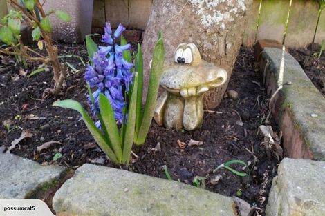 Photo of property in 5 Murray Street, Wallaceville, Upper Hutt, 5018