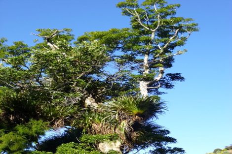 Photo of property in 44 Kaitake Road, Kaitake, New Plymouth, 4374