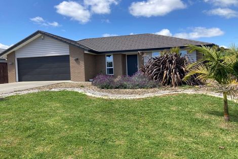 Photo of property in 8 Dornal Place, Pokeno, 2402