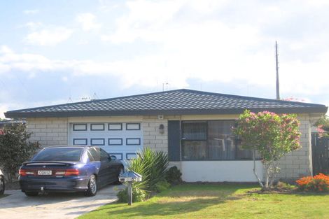 Photo of property in 14 Balmacewen Place, Mount Maunganui, 3116