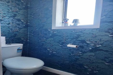 Photo of property in 2 Dawick Street, Foxton Beach, Foxton, 4815