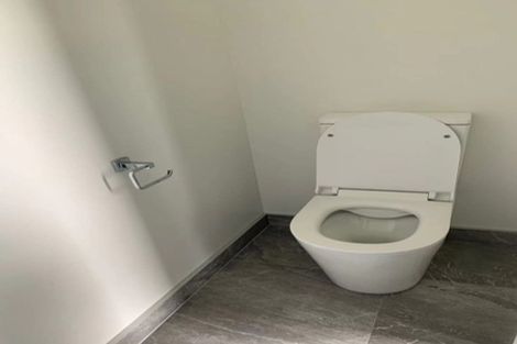 Photo of property in 4 Sydney Place, Flagstaff, Hamilton, 3210