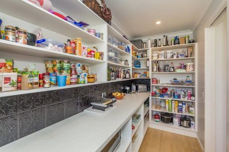 Photo of property in 441 Tararua Road, Levin, 5571