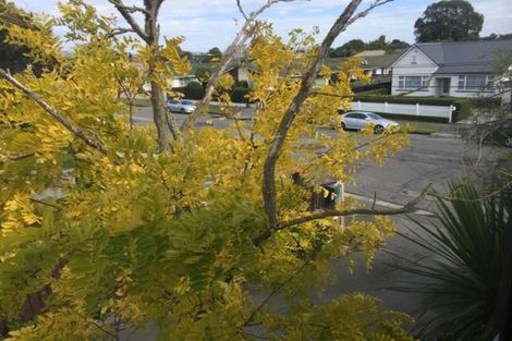 Photo of property in 1/14 Brittan Street, Linwood, Christchurch, 8011