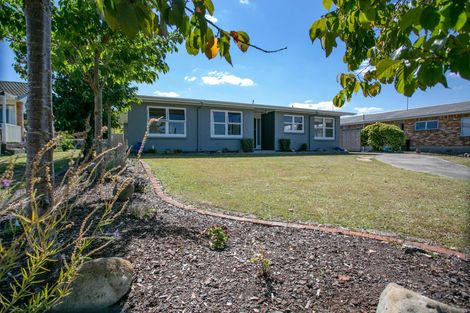 Photo of property in 14 Findlater Street, Matamata, 3400