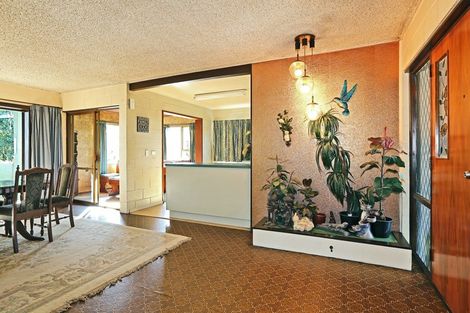 Photo of property in 500 Poplar Place, Akina, Hastings, 4122