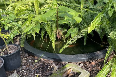 Photo of property in 88 Canongate Street, Birkdale, Auckland, 0626