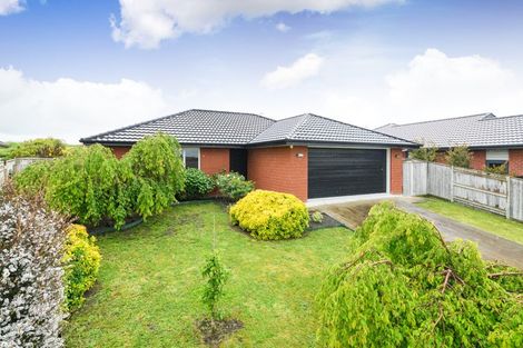 Photo of property in 10 Macdonald Heights, Feilding, 4702