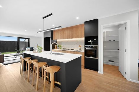 Photo of property in 6 Earp Crescent, Chartwell, 3210