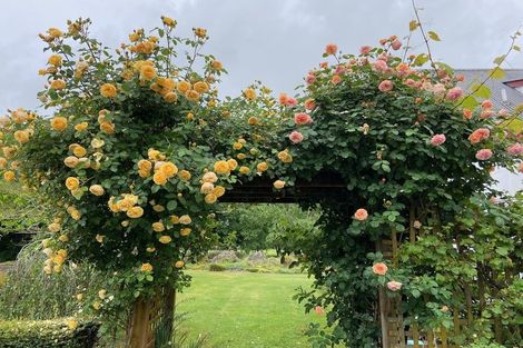 Photo of property in 46g Johnson Road, Otakiri, Whakatane, 3192