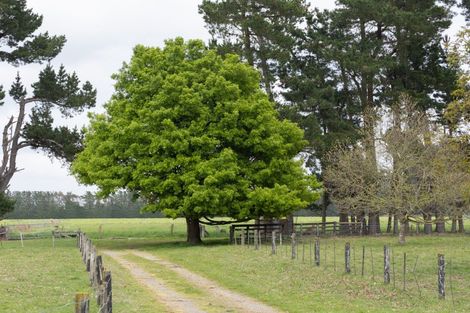 Photo of property in 1148 Rakaia Highway, Dromore, Ashburton, 7772