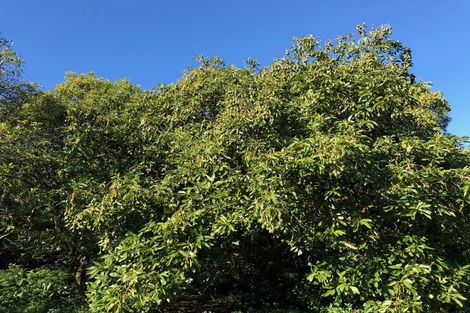 Photo of property in 113 Tanners Point Road, Tanners Point, Katikati, 3177