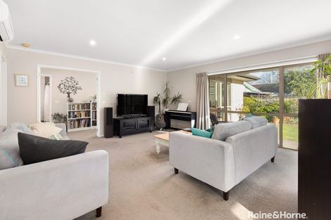 Photo of property in 23b Totara Street, Lansdowne, Masterton, 5810