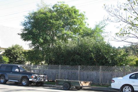 Photo of property in 18 Peel Street, Geraldine, 7930