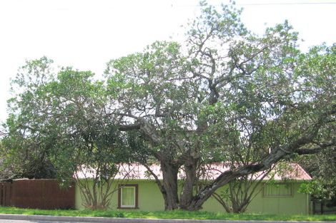 Photo of property in 1135 Papamoa Beach Road, Papamoa Beach, Papamoa, 3118