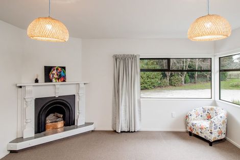 Photo of property in 297 Homestead Road, Weston, Oamaru, 9491