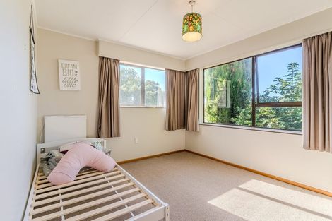 Photo of property in 49 Peel Street, Lawrence, 9532