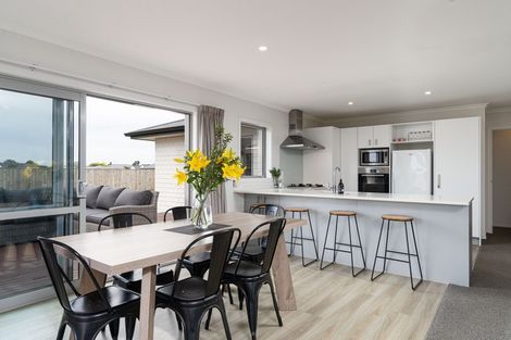 Photo of property in 36 Gimson Street, Solway, Masterton, 5810