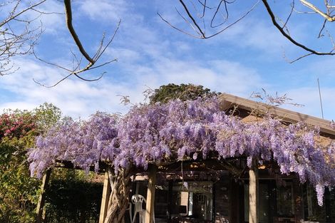 Photo of property in 529 Kane Street, Pirongia, 3802