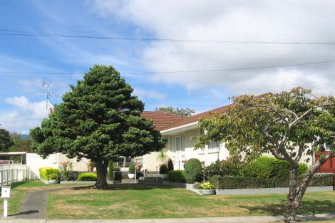 Photo of property in 19 Mary Crescent, Elderslea, Upper Hutt, 5018