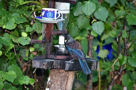 Photo of property in 76a Shakespear Road, Army Bay, Whangaparaoa, 0930