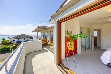 Photo of property in 17 Roslyn Road, Bluff Hill, Napier, 4110