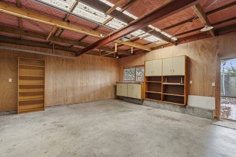 Photo of property in 17a Hamilton Parade, Hamilton Central, Hamilton, 3204