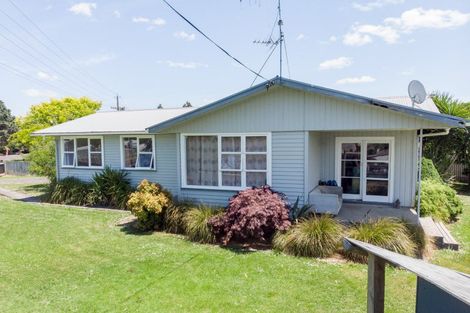 Photo of property in 2 Piako Road, Turua, Thames, 3574