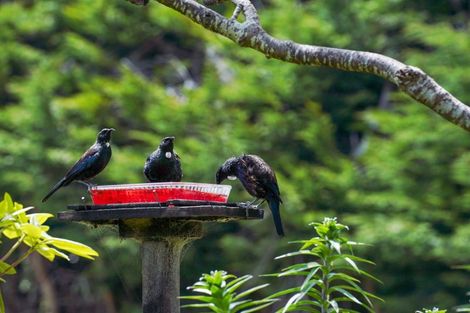 Photo of property in 75 Matua Road, Otatara, Invercargill, 9879