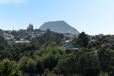 Photo of property in 187 Cambridge Road, Bethlehem, Tauranga, 3110