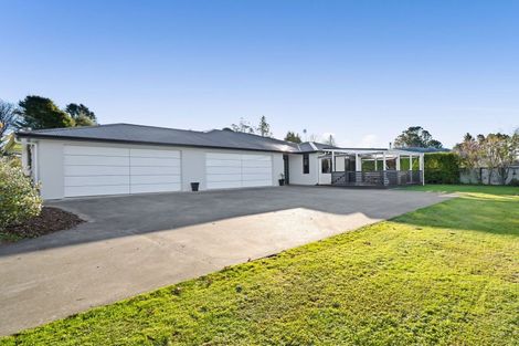 Photo of property in 13 Biron Place, Stratford, 4332