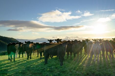Photo of property in 18 Te Hapua Bay Road, Kuratau, Turangi, 3381
