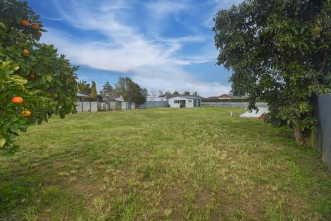 Photo of property in 19b Snell Street, Morrinsville, 3300