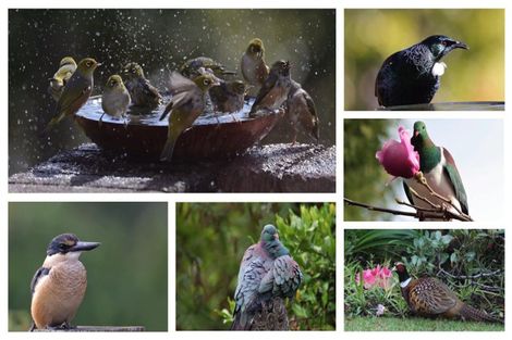 Photo of property in 10 Hurinui Avenue, Whakatane, 3120