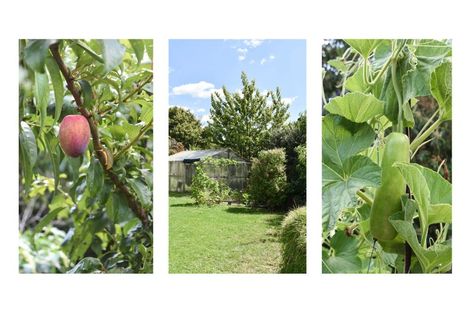 Photo of property in 180 Carlton Street, Bellevue, Tauranga, 3110