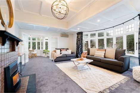 Photo of property in 30 Hobson Street, Saint Clair, Dunedin, 9012