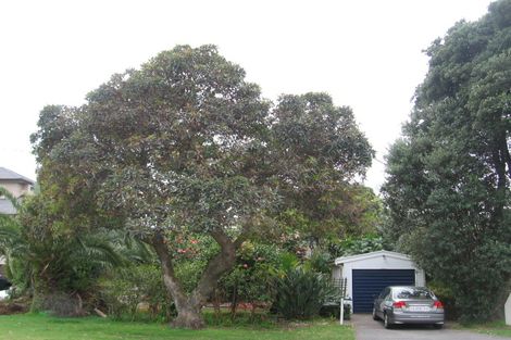 Photo of property in 117 Muricata Avenue, Mount Maunganui, 3116