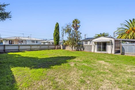 Photo of property in 120 Queen Street West, Levin, 5510