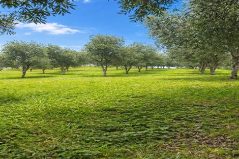 Photo of property in 563 Kopuku Road, Maramarua Forest, Te Kauwhata, 3781